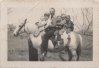 Robert Doersch, Jr. and Others on Horse
